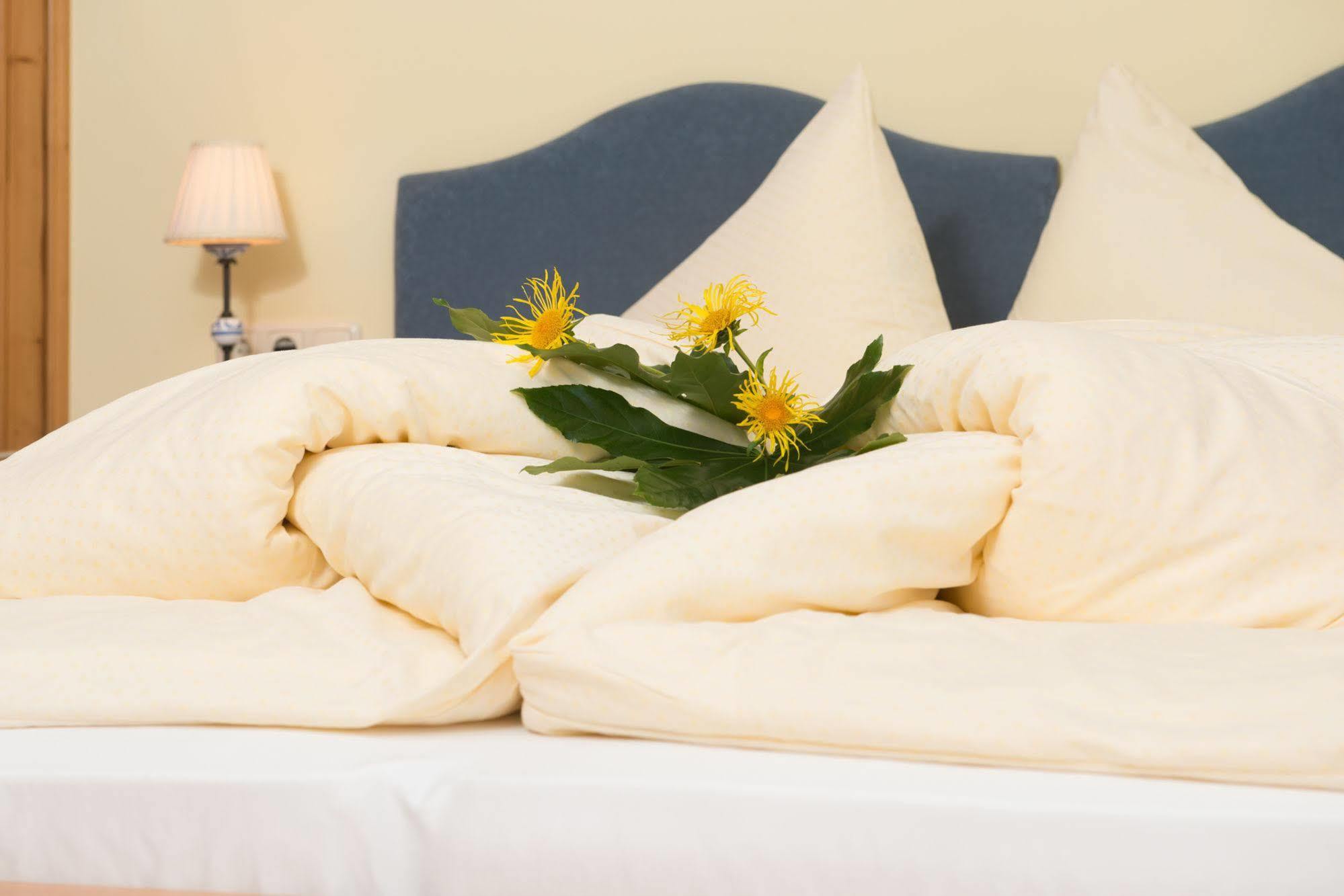 Apart Hotel San Antonio Санкт-Антон-ам-Арльберг Экстерьер фото